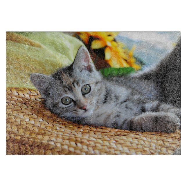Niedliche Kleintiere | Kitten Lounges Schneidebrett (Vorderseite)