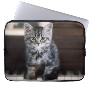 Niedliche Kleintiere Kitten on Piano Keys Laptopschutzhülle