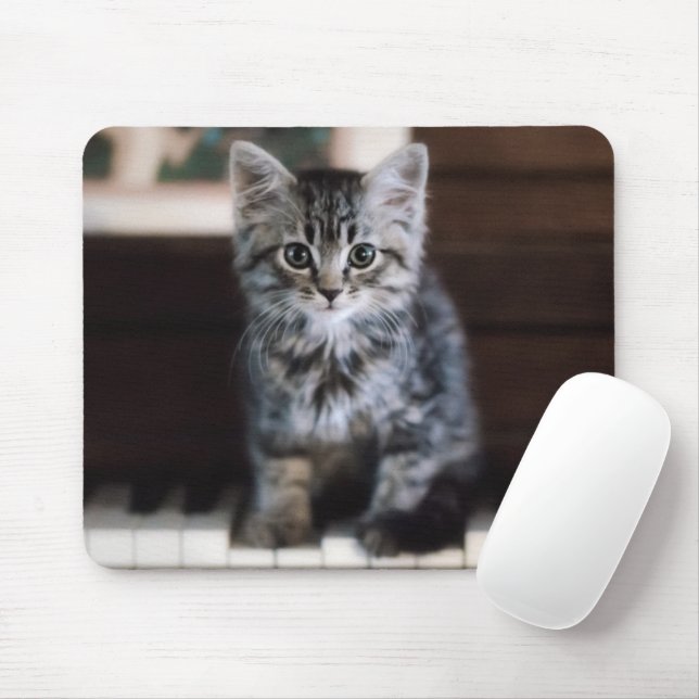 Niedliche Kleintiere | Kitten on Piano Keys Mousepad (Mit Mouse)