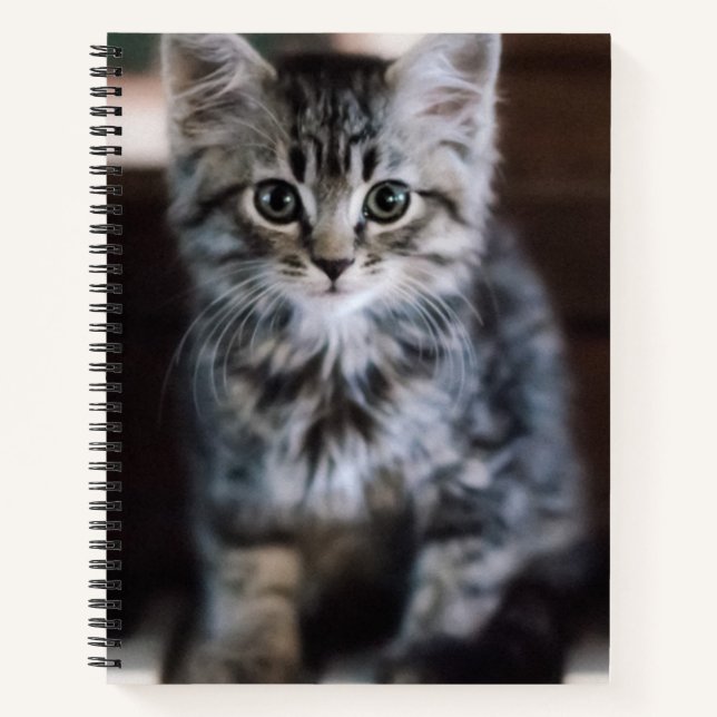 Niedliche Kleintiere | Kitten on Piano Keys Notizbuch (Vorderseite)