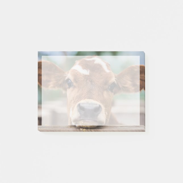 Niedliche Kleintiere | Kleiner Kuhkalb Post-it Klebezettel (Vorderseite)