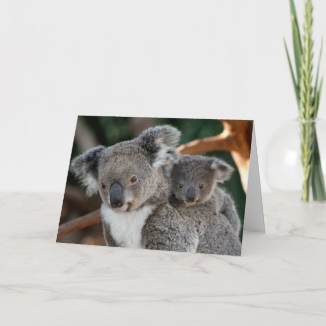 Niedliche Kleintiere | Koala und Joey Karte (Vorderseite)