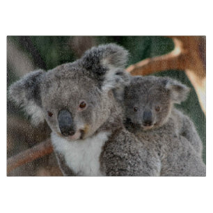 Niedliche Kleintiere   Koala und Joey Schneidebrett