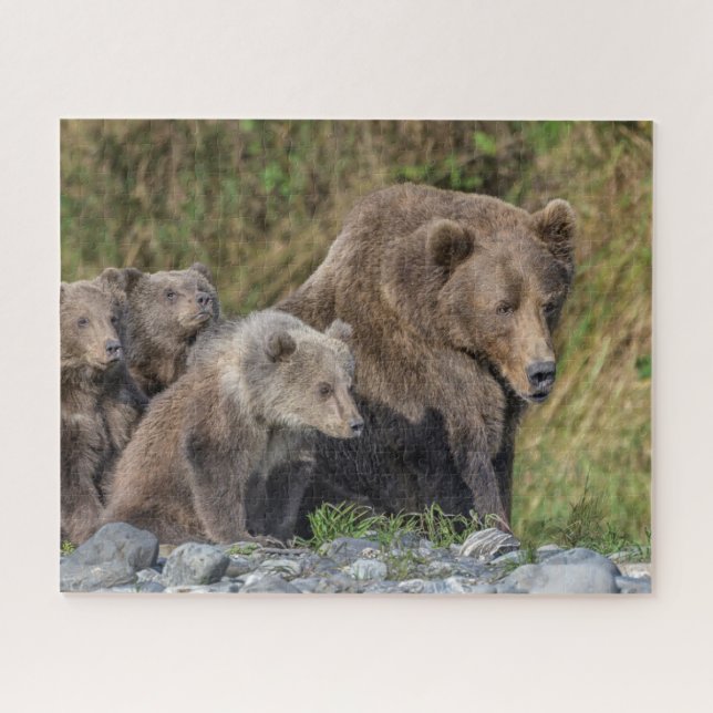Niedliche Kleintiere | Kodiak Mama Bear & Cubs (Horizontal)