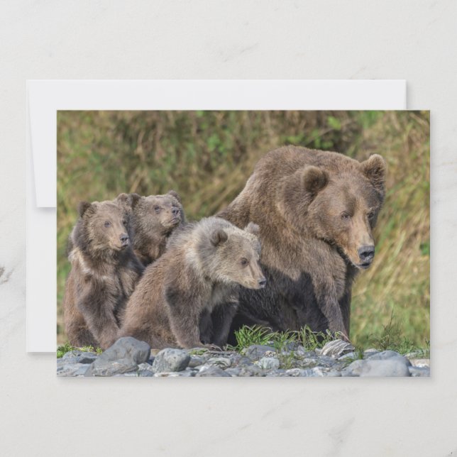 Niedliche Kleintiere | Kodiak Mama Bear & Cubs Dankeskarte (Vorderseite)