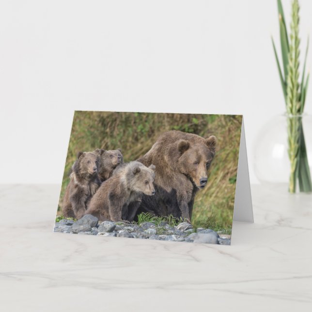 Niedliche Kleintiere | Kodiak Mama Bear & Cubs Karte (Vorderseite)
