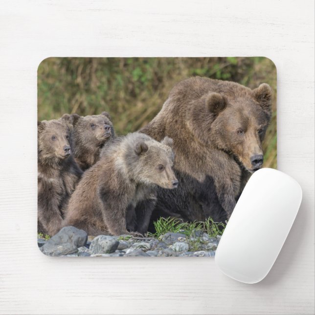 Niedliche Kleintiere | Kodiak Mama Bear & Cubs Mousepad (Mit Mouse)