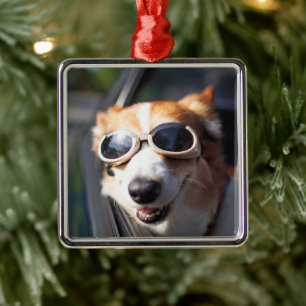 Niedliche Kleintiere   Korgi-Brille im Auto Ornament Aus Metall
