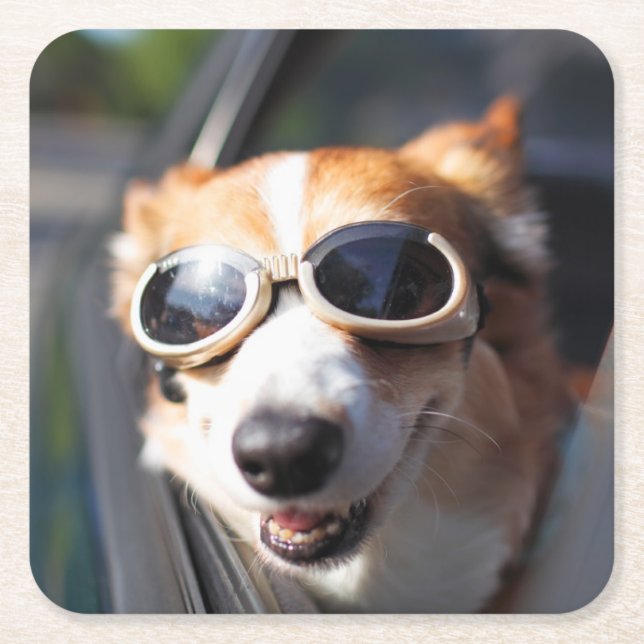 Niedliche Kleintiere | Korgi-Brille im Auto Rechteckiger Pappuntersetzer (Vorderseite)