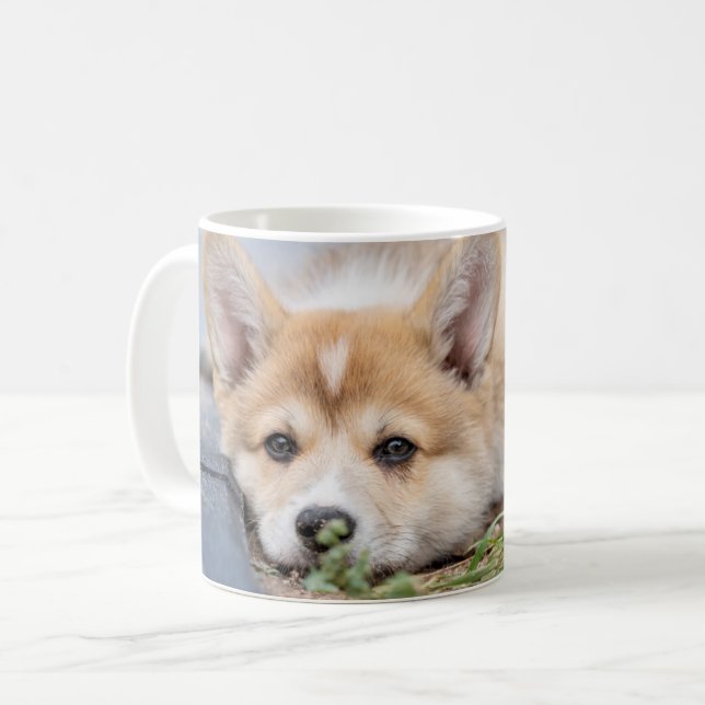Niedliche Kleintiere | Korgi Lay in der Werft Kaffeetasse (Vorderseite Links)