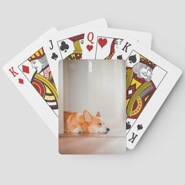 Niedliche Kleintiere | Korgi Schlafen Spielkarten (Rückseite)