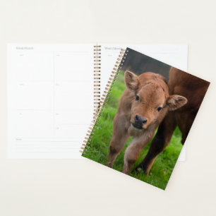 Niedliche Kleintiere Kuh und Kalb Planer