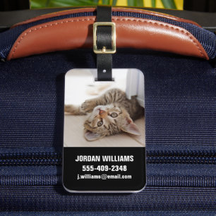 Niedliche Kleintiere   Kurzhaar Tabby Kitten Gepäckanhänger