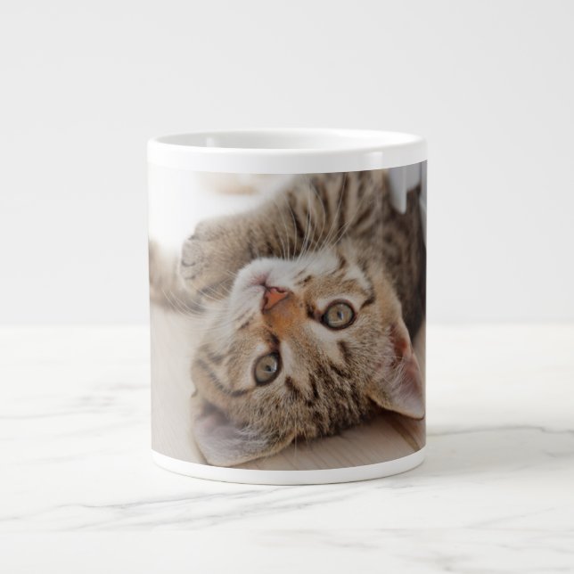 Niedliche Kleintiere | Kurzhaar Tabby Kitten Jumbo-Tasse (Vorderseite)