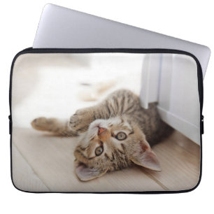 Niedliche Kleintiere   Kurzhaar Tabby Kitten Laptopschutzhülle
