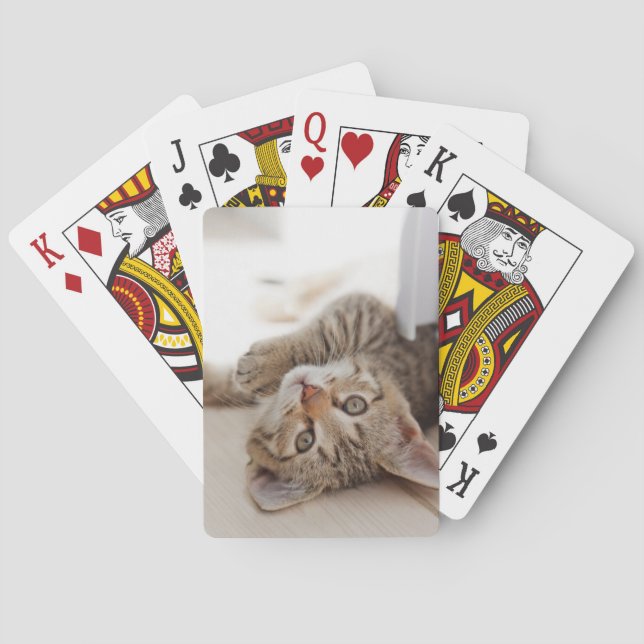 Niedliche Kleintiere | Kurzhaar Tabby Kitten Spielkarten (Rückseite)