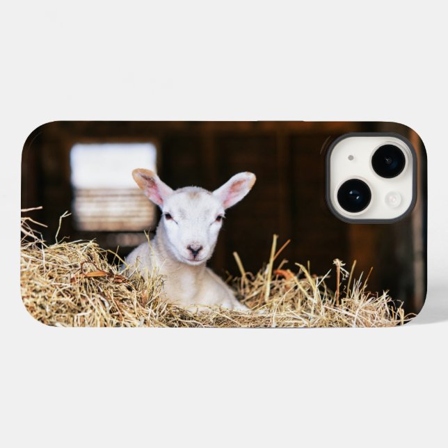 Niedliche Kleintiere | Lamm Case-Mate iPhone 14 Hülle (Rückseite (Horizontal))