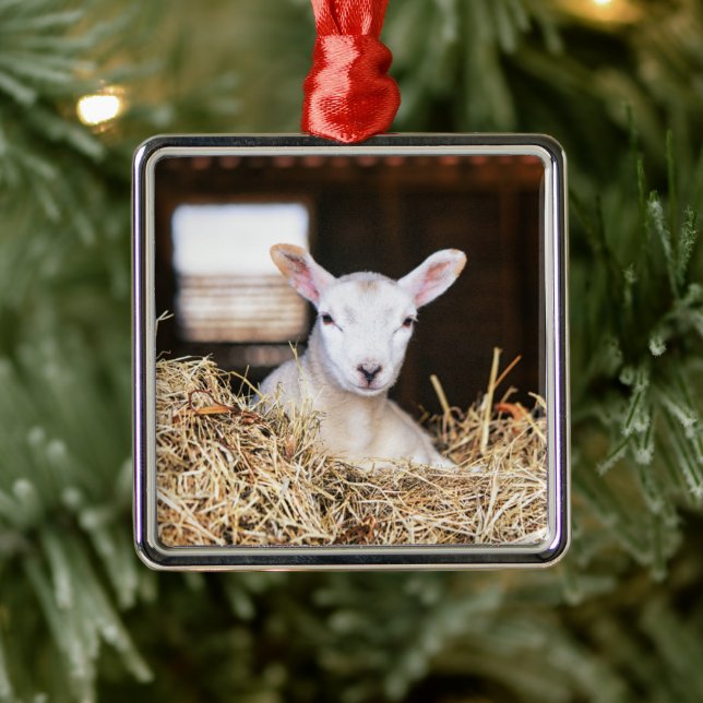 Niedliche Kleintiere | Lamm Ornament Aus Metall (Baum)