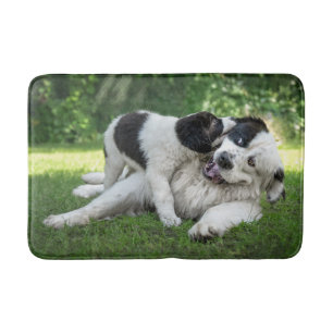 Niedliche Kleintiere   Landseer Puppy Badematte