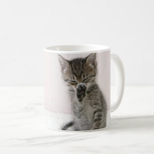 Niedliche Kleintiere Licking Tabby Kitten Kaffeetasse