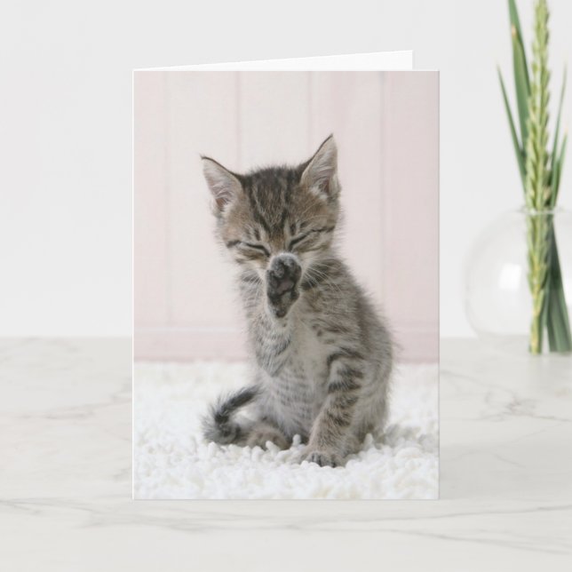 Niedliche Kleintiere | Licking Tabby Kitten Karte (Vorderseite)