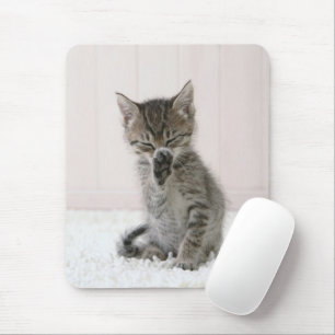 Niedliche Kleintiere Licking Tabby Kitten Mousepad