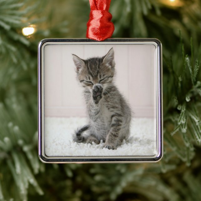 Niedliche Kleintiere | Licking Tabby Kitten Ornament Aus Metall (Baum)