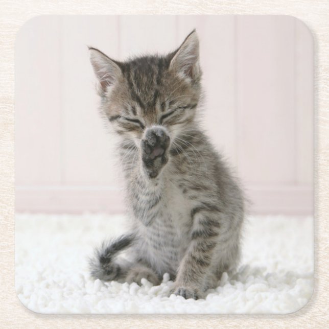 Niedliche Kleintiere | Licking Tabby Kitten Rechteckiger Pappuntersetzer (Vorderseite)