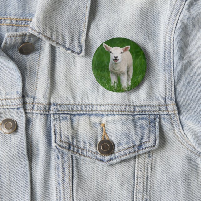 Niedliche Kleintiere | Lil Lamb Button (Beispiel)