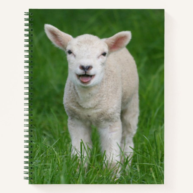 Niedliche Kleintiere | Lil Lamb Notizbuch (Vorderseite)