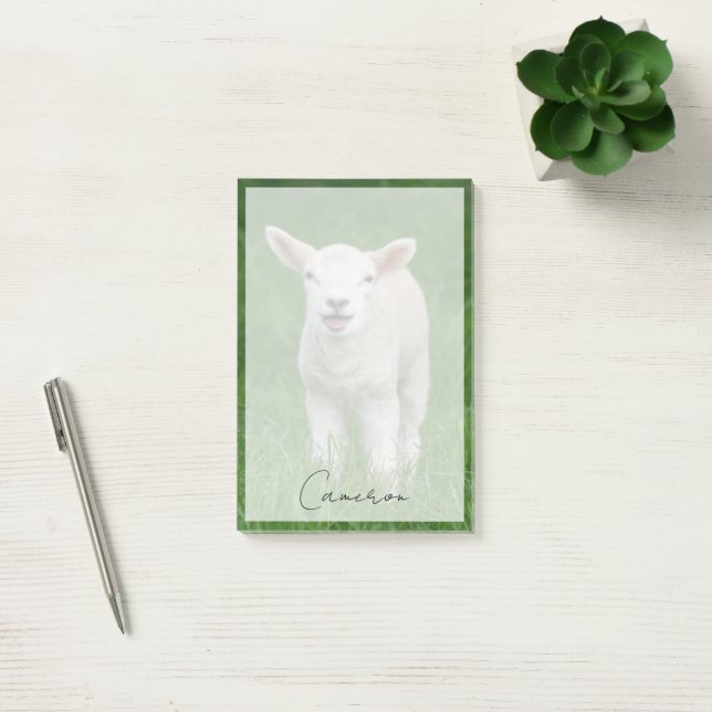 Niedliche Kleintiere | Lil Lamb Post-it Klebezettel (Büro)