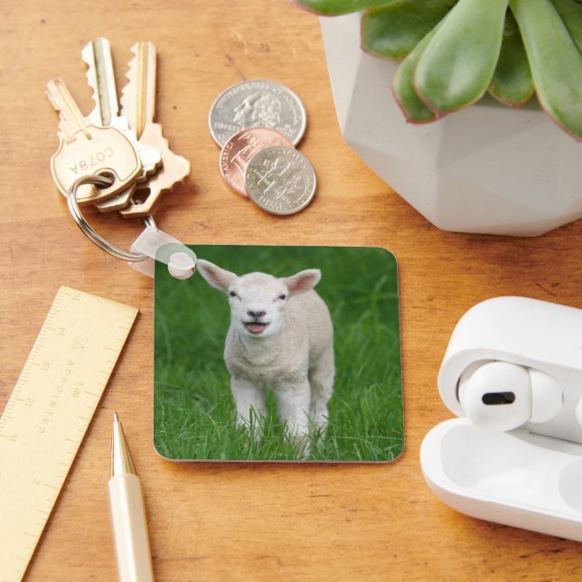 Niedliche Kleintiere | Lil Lamb Schlüsselanhänger (Schreibtisch)