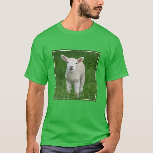 Niedliche Kleintiere | Lil Lamb T-Shirt (Vorderseite)
