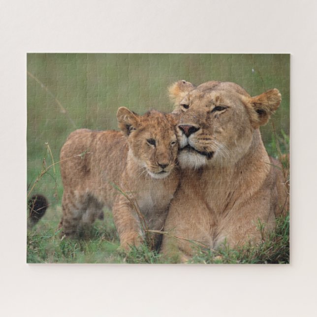 Niedliche Kleintiere | Lion Cub & Mother (Horizontal)