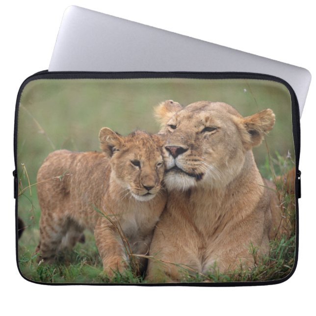 Niedliche Kleintiere | Lion Cub & Mother Laptopschutzhülle (Vorderseite)