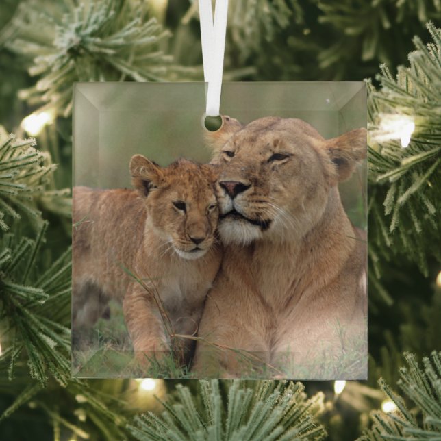 Niedliche Kleintiere | Lion Cub & Mother Ornament Aus Glas (Insitu)