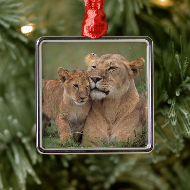 Niedliche Kleintiere | Lion Cub & Mother Ornament Aus Metall (Baum)