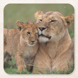 Niedliche Kleintiere   Lion Cub & Mother Rechteckiger Pappuntersetzer