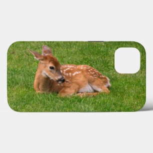 Niedliche Kleintiere   Little Fawn Case-Mate iPhone Hülle
