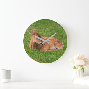 Niedliche Kleintiere   Little Fawn Große Wanduhr