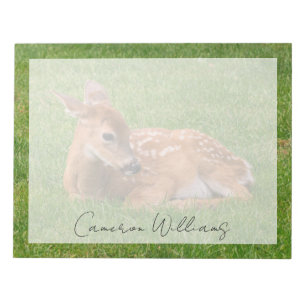 Niedliche Kleintiere   Little Fawn Notizblock
