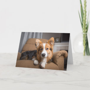 Niedliche Kleintiere Long Hair Corgi Puppy Karte