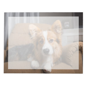 Niedliche Kleintiere Long Hair Corgi Puppy Notizblock