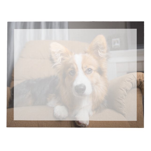 Niedliche Kleintiere | Long Hair Corgi Puppy Notizblock (Vorderseite)
