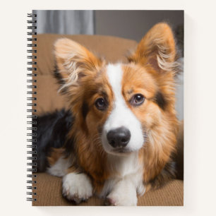 Niedliche Kleintiere Long Hair Corgi Puppy Notizbuch