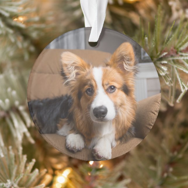 Niedliche Kleintiere | Long Hair Corgi Puppy Ornament (Baum)