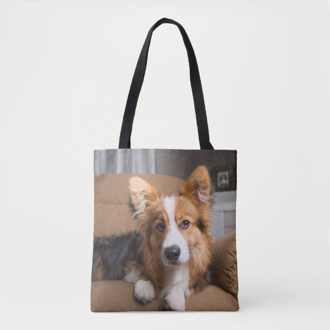Niedliche Kleintiere | Long Hair Corgi Puppy Tasche (Vorderseite)