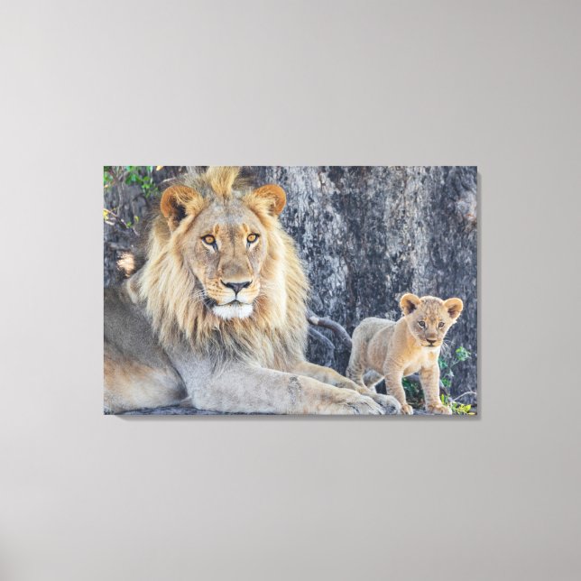 Niedliche Kleintiere | Löwe Vater & Cub Leinwanddruck (Vorderseite)