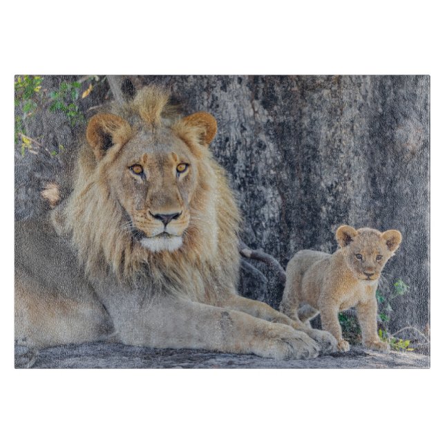 Niedliche Kleintiere | Löwe Vater & Cub Schneidebrett (Vorderseite)