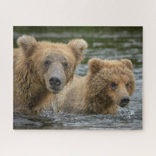 Niedliche Kleintiere Mama Bear & Ihre Cubs